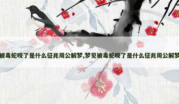 梦见被毒蛇咬了是什么征兆周公解梦,梦见被毒蛇咬了是什么征兆周公解梦女人
