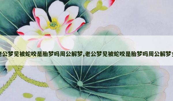 老公梦见被蛇咬是胎梦吗周公解梦,老公梦见被蛇咬是胎梦吗周公解梦女