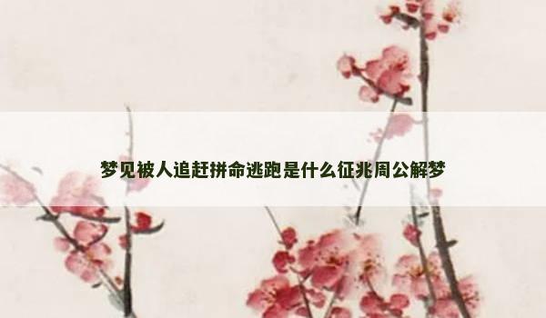 梦见被人追赶拼命逃跑是什么征兆周公解梦