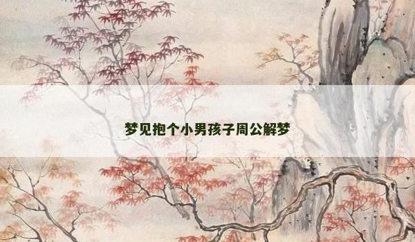 梦见抱个小男孩子周公解梦
