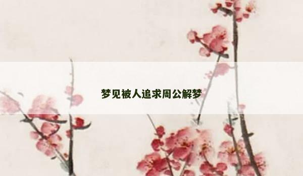梦见被人追求周公解梦