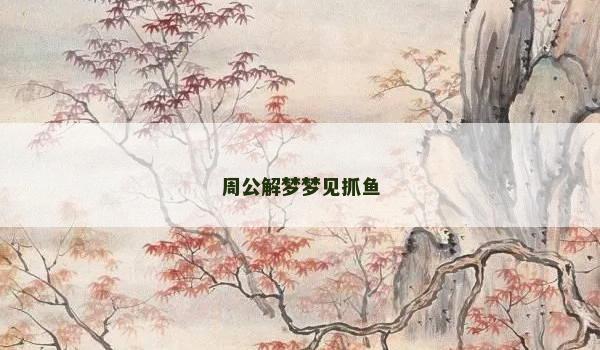 周公解梦梦见抓鱼
