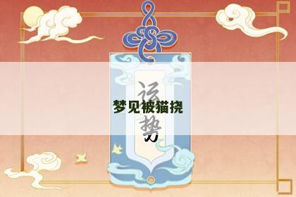 梦见被猫挠