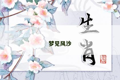 梦见风沙