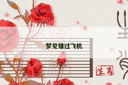 梦见错过飞机