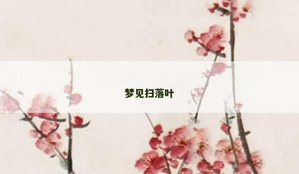 梦见扫落叶
