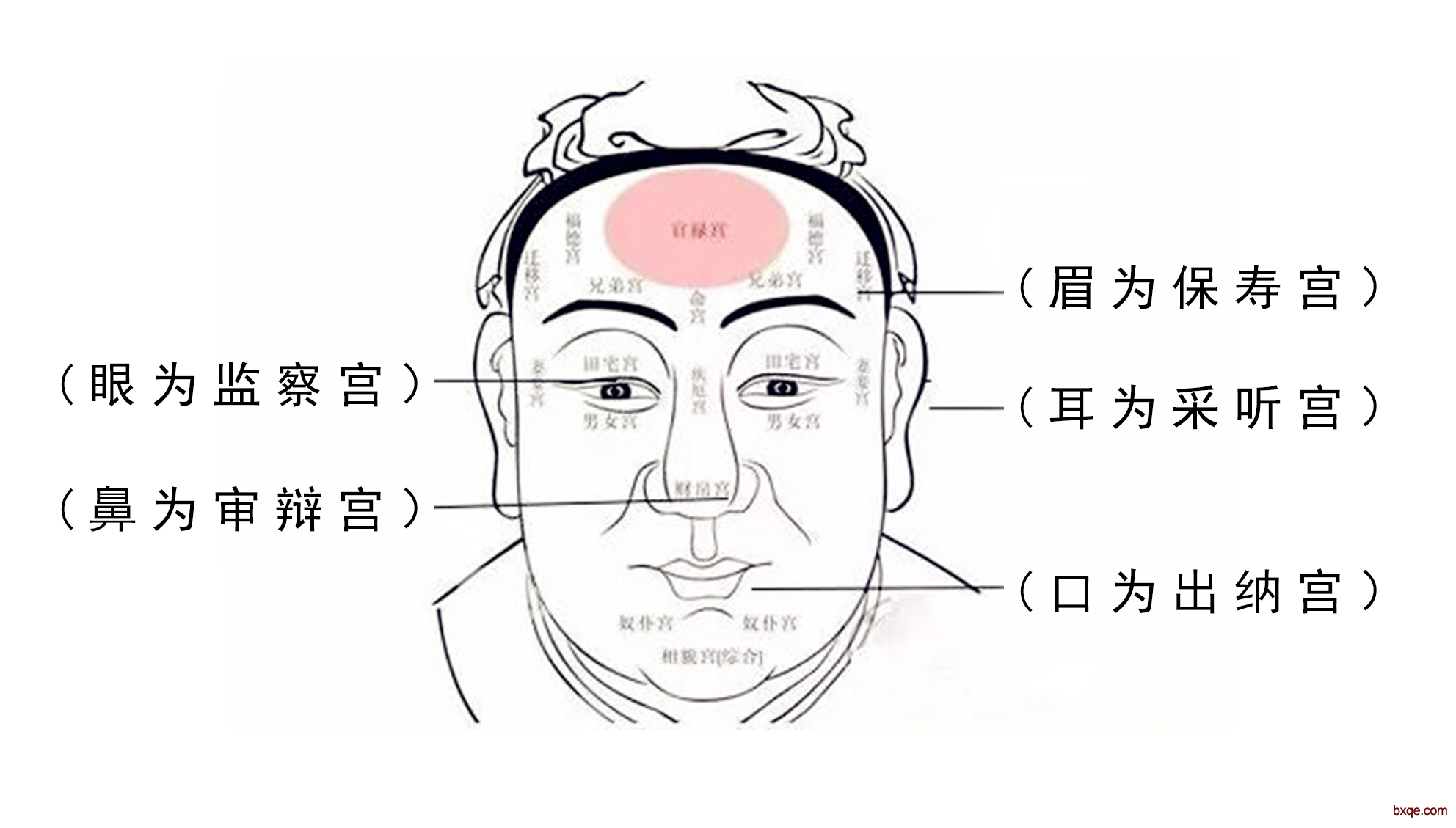 面相学—— 六招教你看清一个人的富贵福禄！