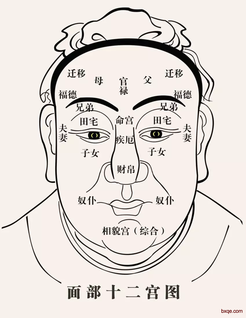 面相学：面相也分阴阳五行，教你看属哪种五行，运势如何
